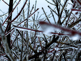 氷３