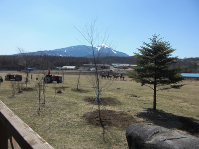 CIMG2509