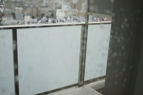 DSC00078_LI