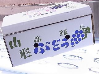 RIMG0627