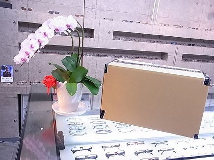 RIMG0288