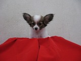 s-IMG_2879