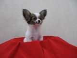 s-IMG_2884