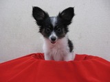 s-IMG_2861