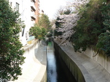 P1000712