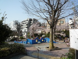 P1000677