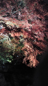 2e9b6966.jpg