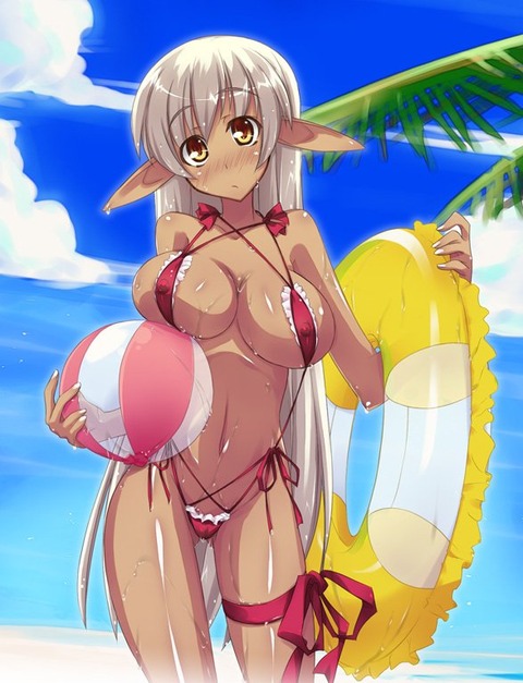 【二次】褐色巨乳のエロ画像05