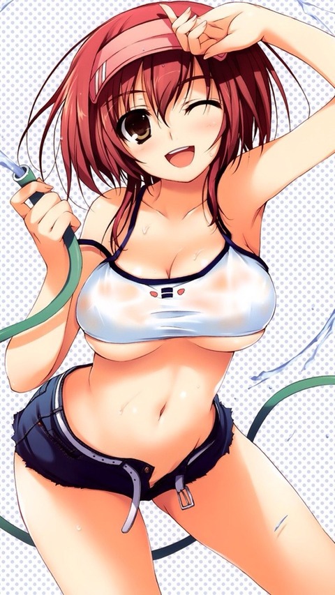 2次元水着画像04