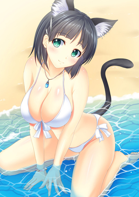 【2次】猫耳娘のエロ画像