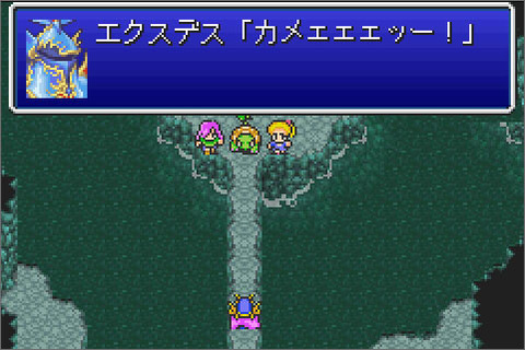カメ