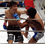 ベスト4-4