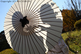 107