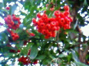 04022db0.jpg
