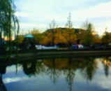 b7e4e125.jpg