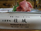 那智勝浦_桂城_10290602
