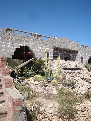 270.jpg