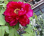 b459aa44.jpg