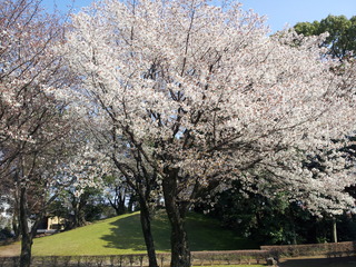 20120327_150305