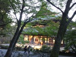 �Ȥ餵���ˡƲ