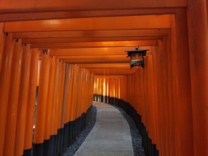 千本鳥居の中から