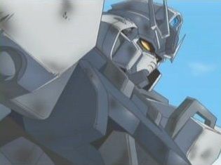 25619577