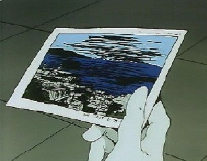 ミハルの撮影したWB