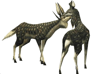 kerubi