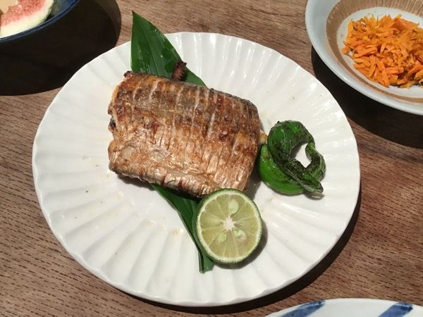 9/13木太刀魚
