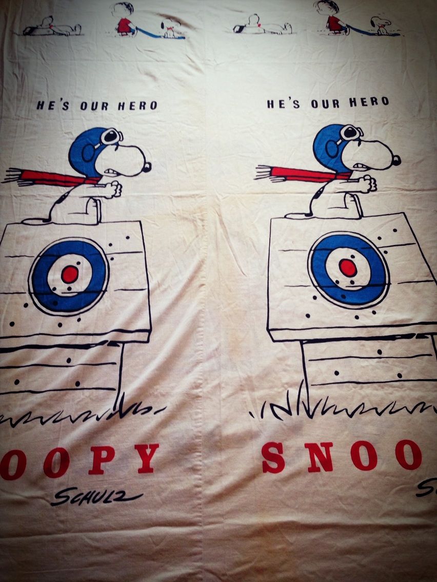 coach classic 50s-1268