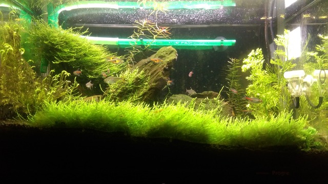 IMAG0355
