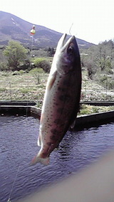 038f2e13.jpg