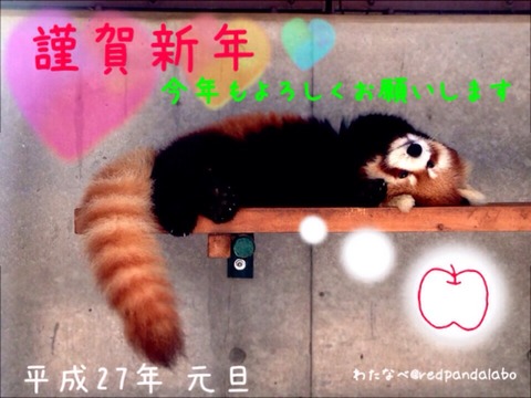 2014-12-30-23-12-38