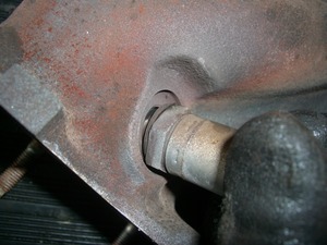 CIMG3981