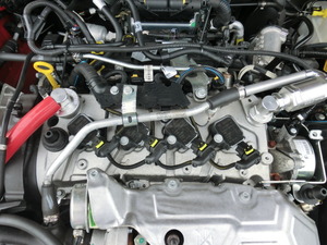 CIMG5575