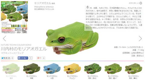 flogg