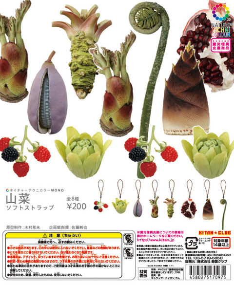 ntc_20_DP