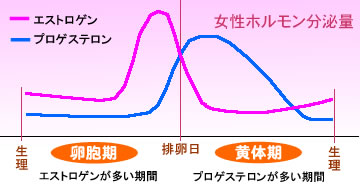 女性ホルモン分泌表