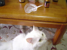 DSC00160