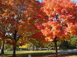 4ab00082.jpg