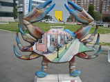 a37edf4a.jpg