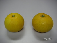 PICT0001