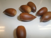 �����Υ�