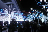 nagoya 様 001