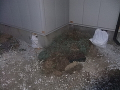 2011_1210_162958-DSCF3318