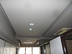 2010_0108_123957-CIMG0019