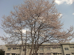 リフォーム 仙台