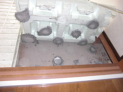 2010_0123_115056-CIMG0013