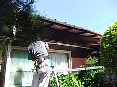 2012_0623_095037-DSCF9041