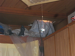 2010_0917_113613-CIMG0066